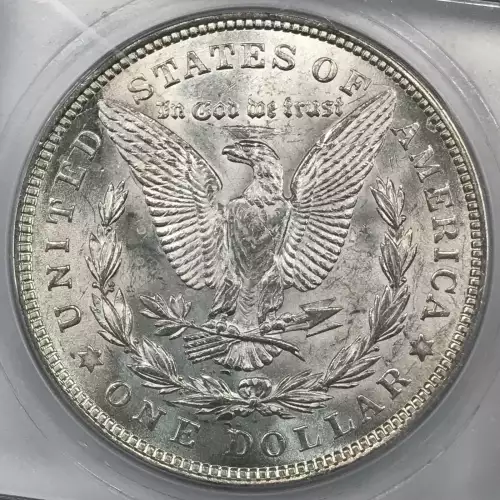 Morgan Silver Dollar (5)