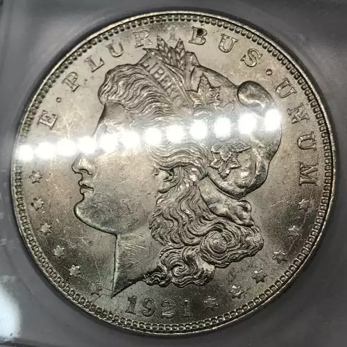 Morgan Silver Dollar (5)