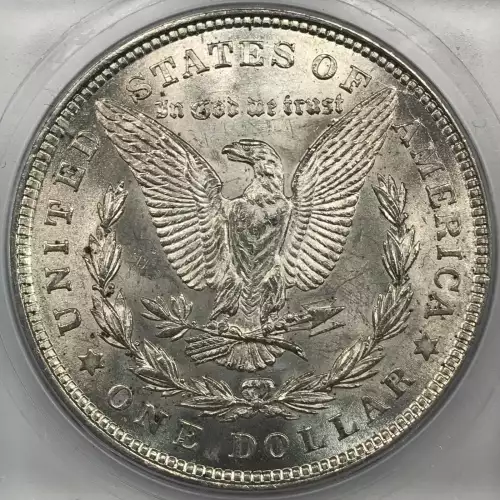 Morgan Silver Dollar (2)