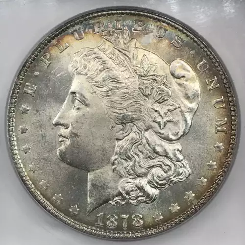 Morgan Silver Dollar (2)