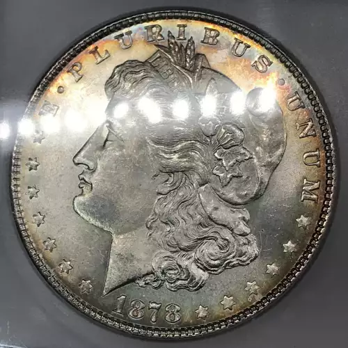 Morgan Silver Dollar (4)