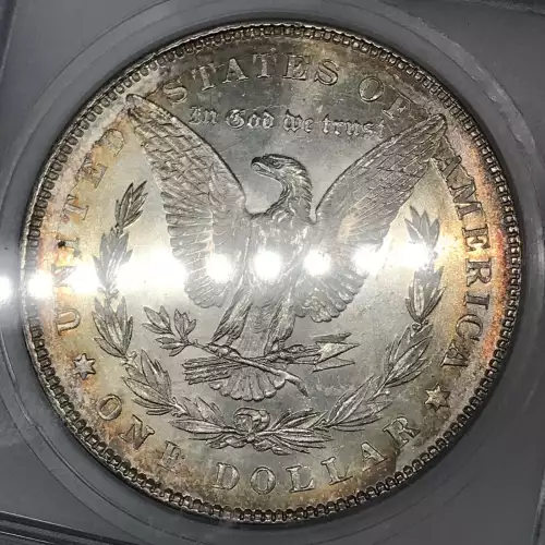 Morgan Silver Dollar (5)