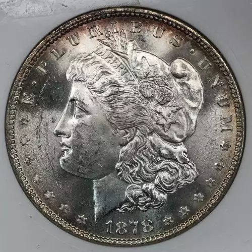 Morgan Silver Dollar (4)