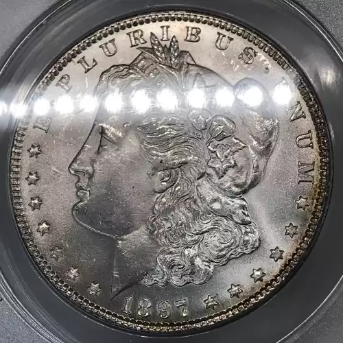 Morgan Silver Dollar (5)