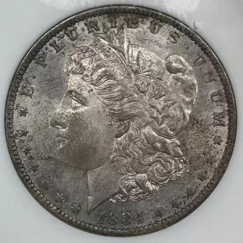 Morgan Silver Dollar (2)