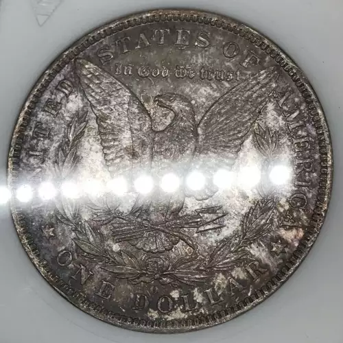 Morgan Silver Dollar (4)