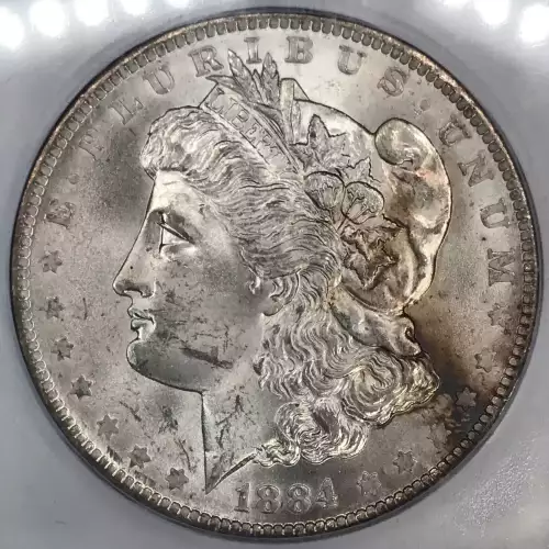 Morgan Silver Dollar (2)