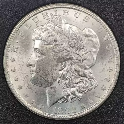 Morgan Silver Dollar (2)