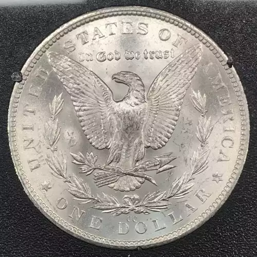 Morgan Silver Dollar (4)