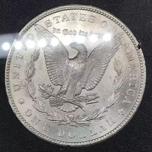 Morgan Silver Dollar (5)