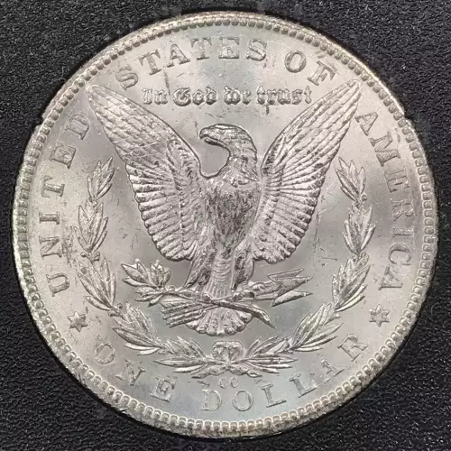 Morgan Silver Dollar (2)