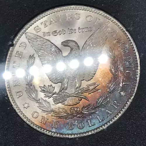 Morgan Silver Dollar (5)