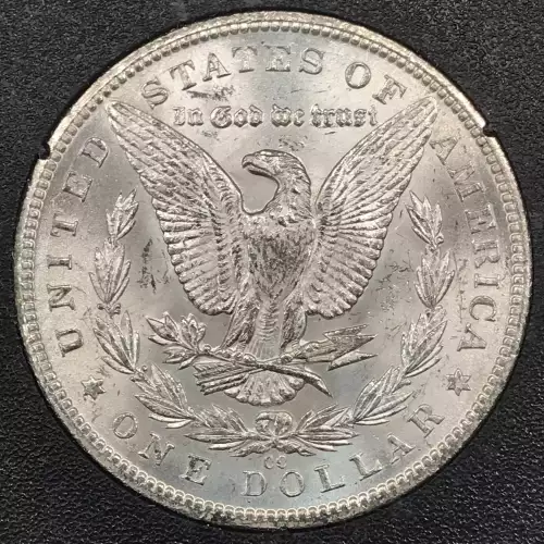 Morgan Silver Dollar (2)