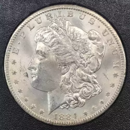 Morgan Silver Dollar (2)