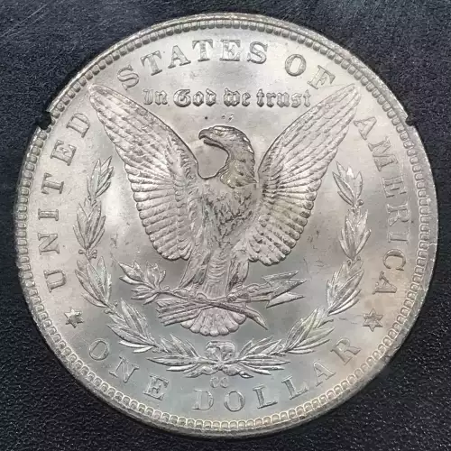 Morgan Silver Dollar (4)