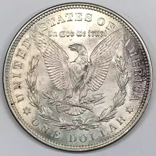 Morgan Silver Dollar