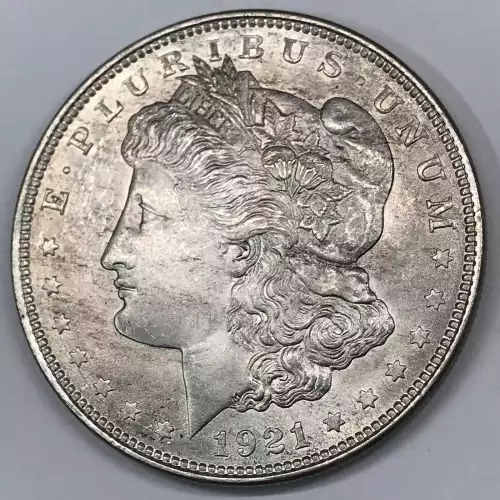 Morgan Silver Dollar