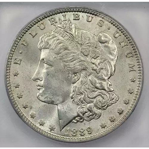 Morgan Silver Dollar (2)