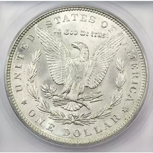 Morgan Silver Dollar (4)