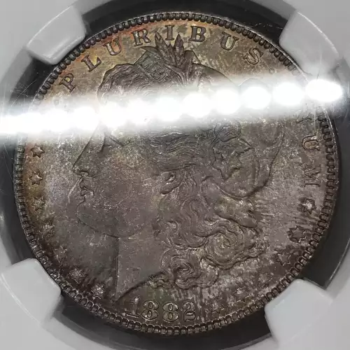 Morgan Silver Dollar (5)