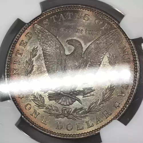 Morgan Silver Dollar (2)