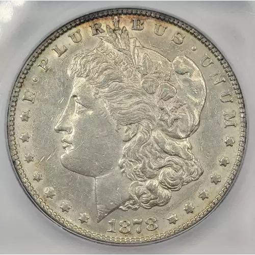 Morgan Silver Dollar (2)