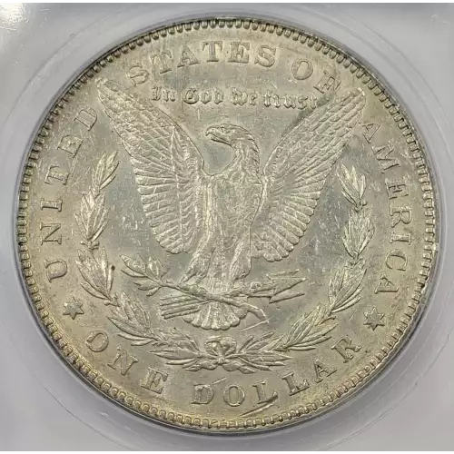 Morgan Silver Dollar (4)