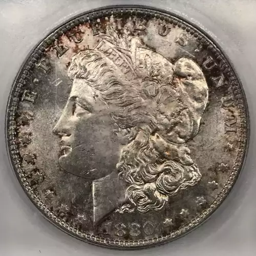 Morgan Silver Dollar (2)