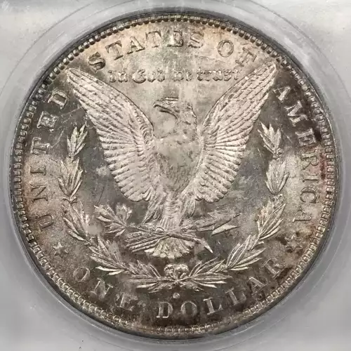 Morgan Silver Dollar (4)