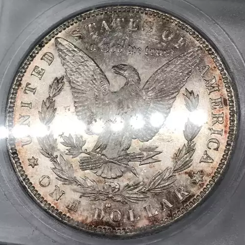 Morgan Silver Dollar (5)