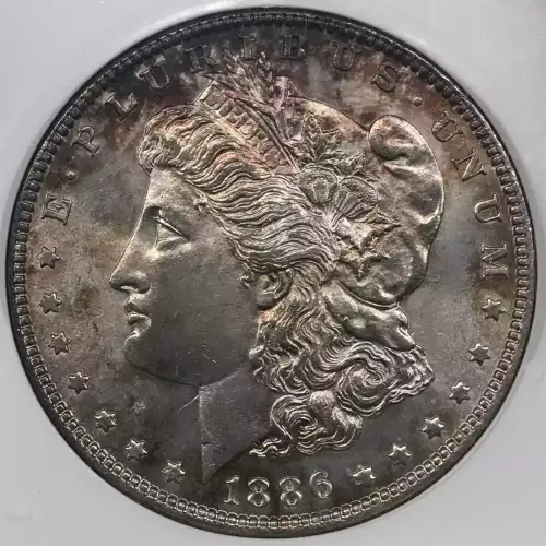 Morgan Silver Dollar (4)