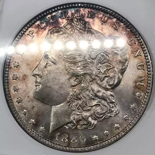 Morgan Silver Dollar (5)