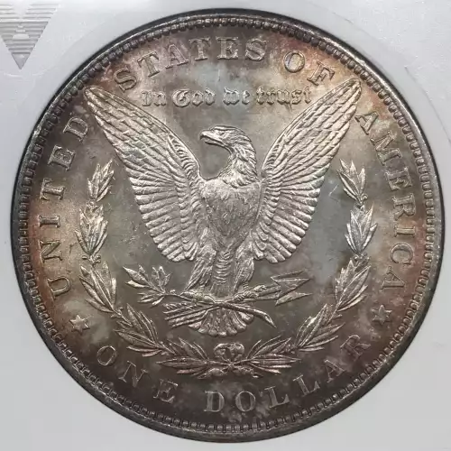 Morgan Silver Dollar (2)