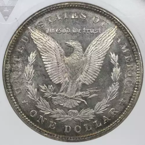 Morgan Silver Dollar (5)