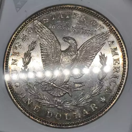 Morgan Silver Dollar