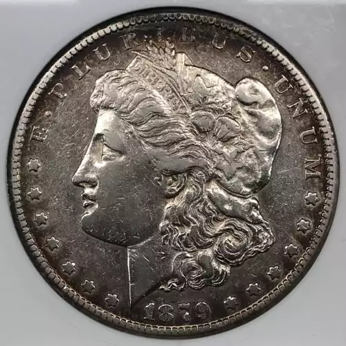 Morgan Silver Dollar (4)