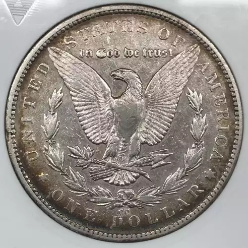 Morgan Silver Dollar (5)