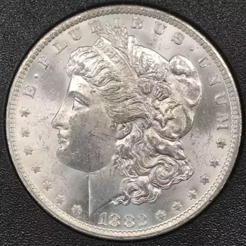 Morgan Silver Dollar (2)
