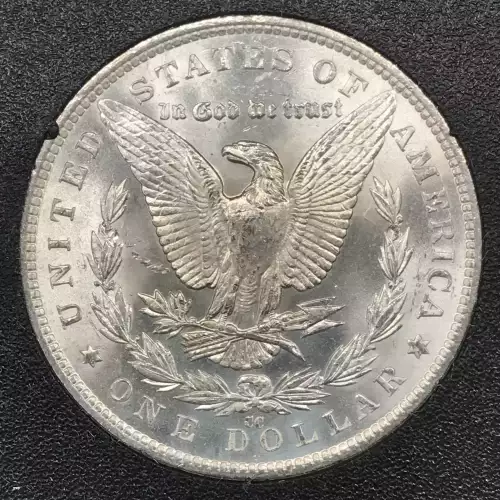 Morgan Silver Dollar (4)