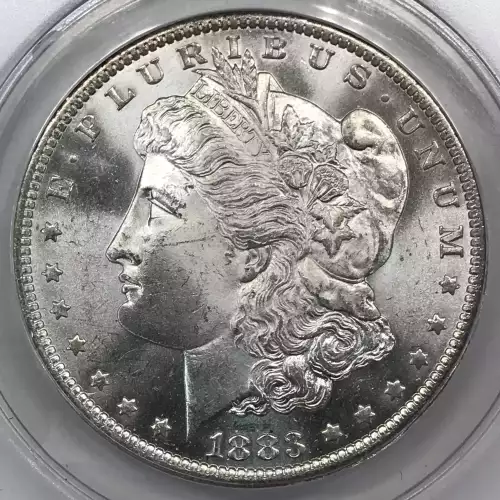 Morgan Silver Dollar (4)