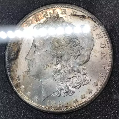 Morgan Silver Dollar (2)