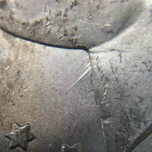 Morgan Silver Dollar (5)