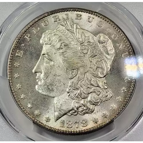 Morgan Silver Dollar (2)