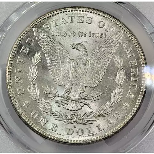 Morgan Silver Dollar (4)