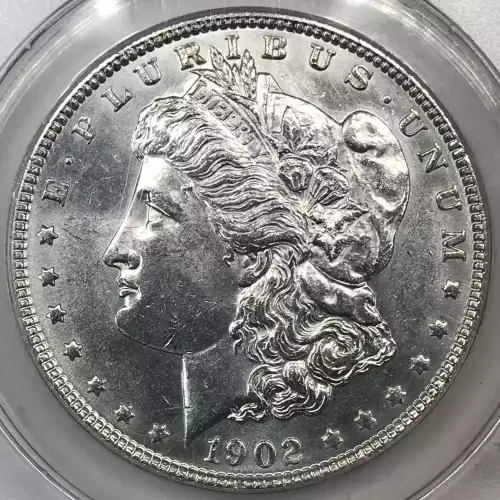 Morgan Silver Dollar (2)