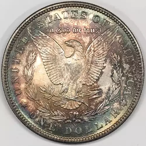 Morgan Silver Dollar (4)