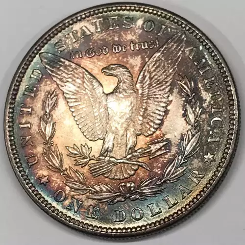 Morgan Silver Dollar