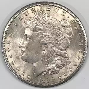 Morgan Silver Dollar (2)