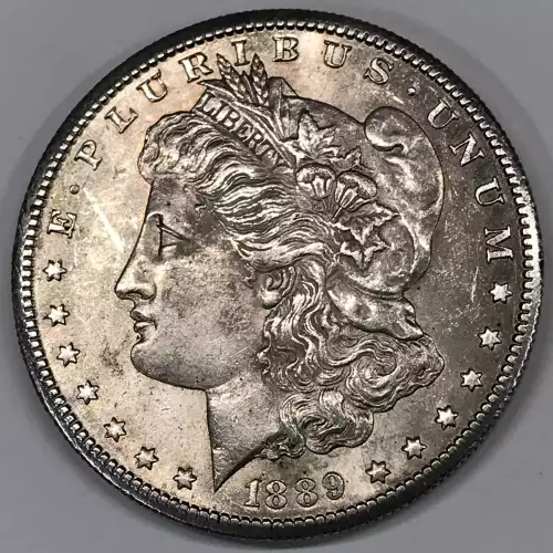 Morgan Silver Dollar (4)