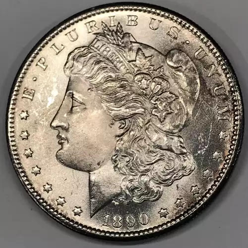 Morgan Silver Dollar